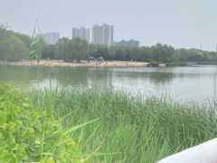 -大兴滨河森林公园