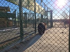 -鄂尔多斯野生动物园