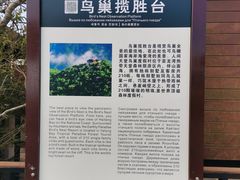 -亚龙湾热带天堂森林公园