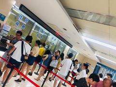 -同济大学附属口腔医院