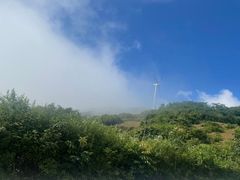 -齐岳山