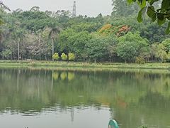 -南国桃园旅游度假区