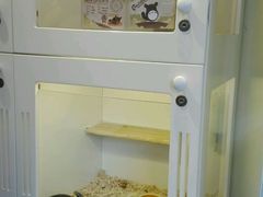 -龙猫仔乐园(惠福东路店)