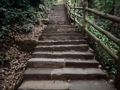 -周鱼鳅饭店