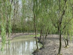 -溱湖国家湿地公园