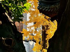 -龙潭水乡