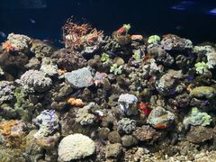 -福州罗源湾海洋世界旅游区