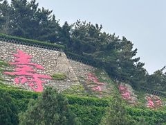 -龙口南山旅游景区