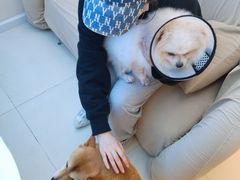 -怪兽屋·羊驼·猫咖·狗咖(俊华广场店)