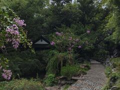 -上海醉白池公园