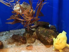 -西海国立公园九十九岛水族馆