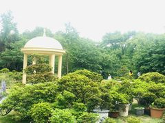 -南山植物园