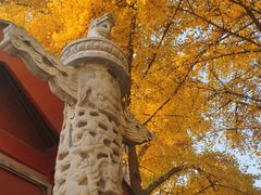 -北京石刻艺术博物馆(五塔寺)