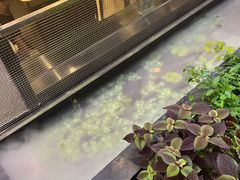 -德林酸菜鱼火锅(南丹店)