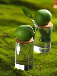 -天河希尔顿酒店·宴会厅