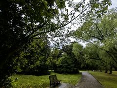 -上海共青森林公园