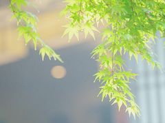 -径山寺
