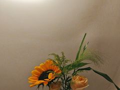 -PARFUM FLORAL花境法餐(南京首店)
