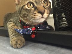 -P2·创客中心(东海广场店)