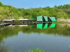 -西湖风景区-江洋畈生态公园