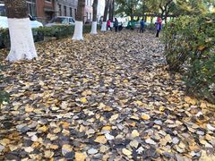 -辽宁大学(崇山校区)