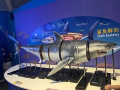 -烟台海昌鲸鲨海洋公园