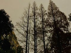 -南京航空航天大学(明故宫校区)