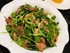 -新南华大酒店(长寿店)