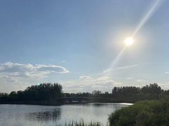 -大兴滨河森林公园