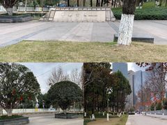 -重庆市江北嘴中央商务区中央公园