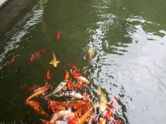 -郭庄茶室