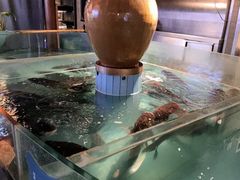 -坛宗剁椒鱼头(河西王府井店)