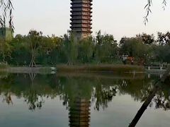 -西海子公园