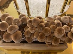 -椰子营·椰子鸡火锅(万象里店)