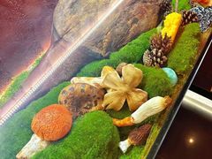 -滇野云南野生菌餐厅(陕西南路店)