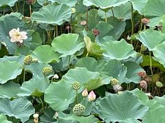 -廊坊文化艺术中心