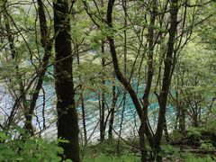 -叠溪松坪沟景区