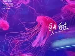 -北京海洋馆