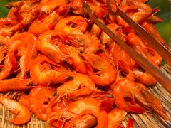 -鼎香缘海鲜自助火锅烤肉(锦辉购物广场店)