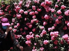 -钦州南路300弄小区