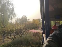 -永定河休闲森林公园