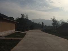 -美的鹭湖森林度假区