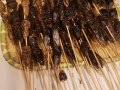 -黄兴南路步行商业街