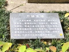 -汇龙潭
