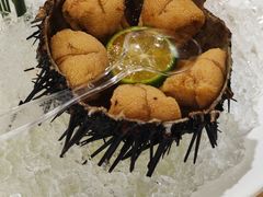 -日月昇渔家菜·海肠捞饭·大连海鲜(星海公园店)