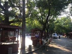 -关中书院