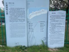 -江滩湿地公园