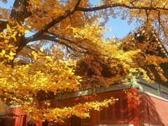 -红螺寺