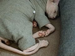 -楼上猫咖(罗湖店)