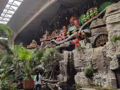 -南宫五洲植物乐园